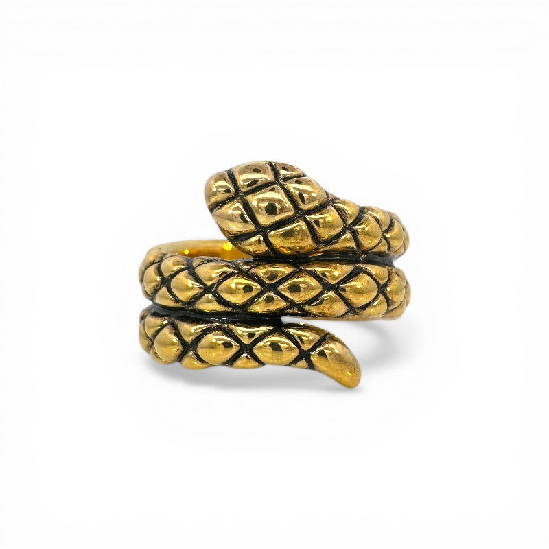 Anillo Serpiente