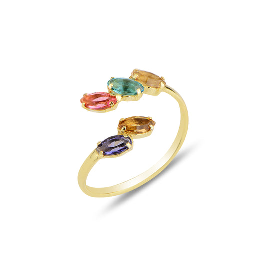 Anillo espiral Neptuno