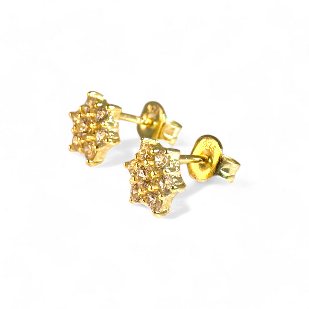 Aros Flor de Circón de Plata 925 Dorados